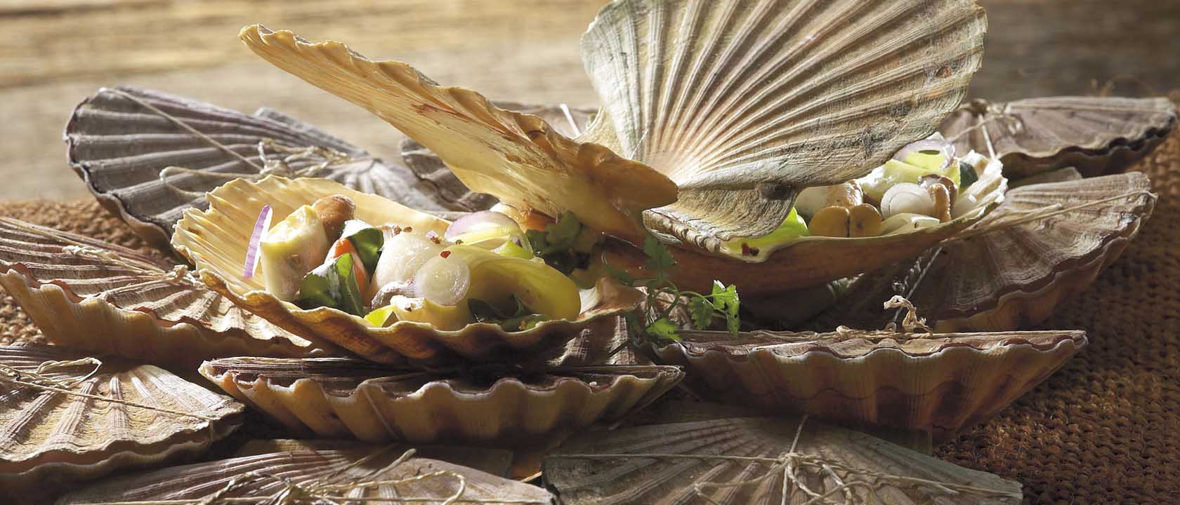 Coquilles Saint Jacques